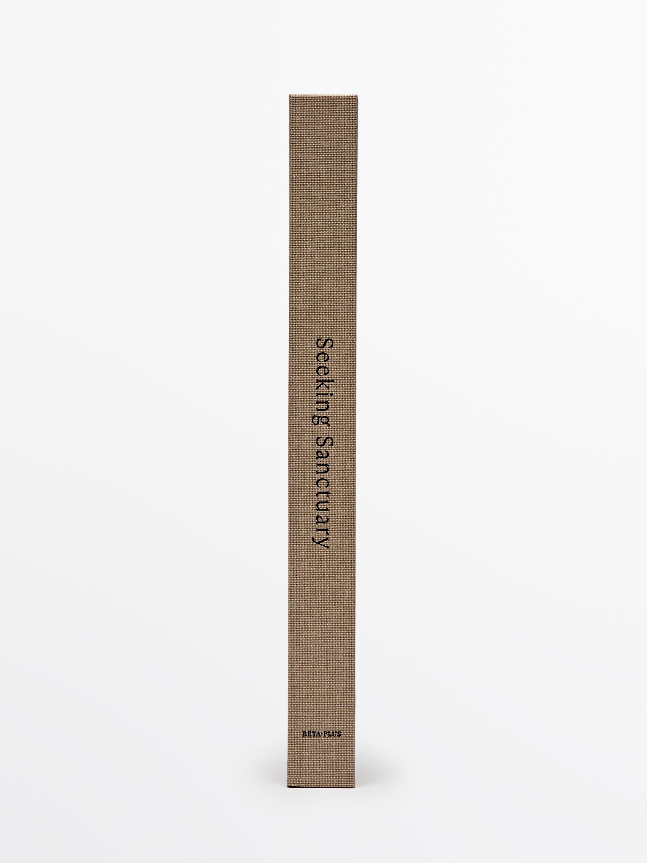Seeking Sanctuary book